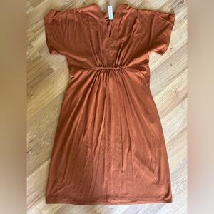 Elegant Rust Dress